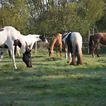 Ranchzimmer Am Hippo-campus Reit- Und Therapiezentrum Bed and Breakfast
