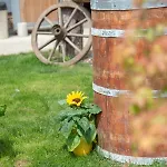 Ranchzimmer Am Hippo-campus Reit- Und Therapiezentrum Deutsch Haslau