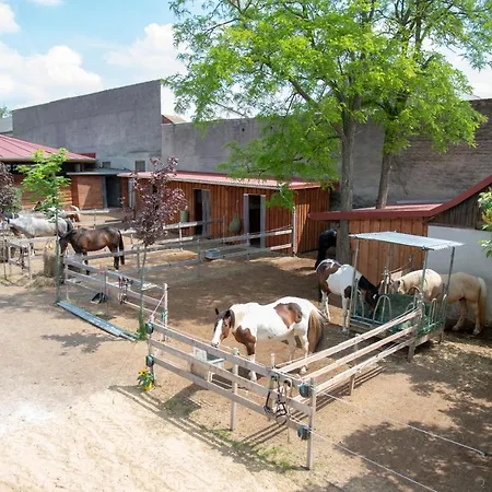 Bed and Breakfast Ranchzimmer Am Hippo-campus Reit- Und Therapiezentrum 3*