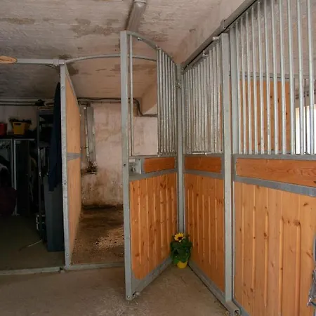 Ranchzimmer Am Hippo-campus Reit- Und Therapiezentrum 3* Deutsch Haslau