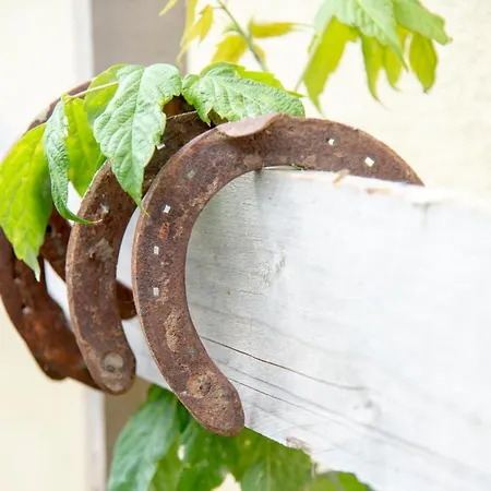 Couette-café Ranchzimmer Am Hippo-campus Reit- Und Therapiezentrum