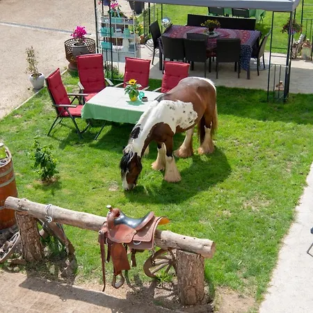 Ranchzimmer Am Hippo-campus Reit- Und Therapiezentrum Bed & Breakfast