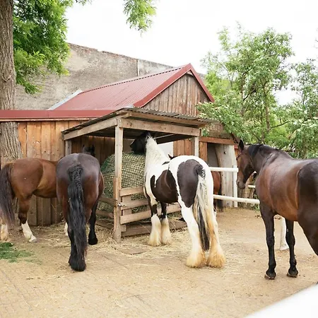 Ranchzimmer Am Hippo-campus Reit- Und Therapiezentrum