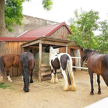 Ranchzimmer Am Hippo-campus Reit- Und Therapiezentrum Alojamento de Acomodação e Pequeno-almoço Deutsch Haslau