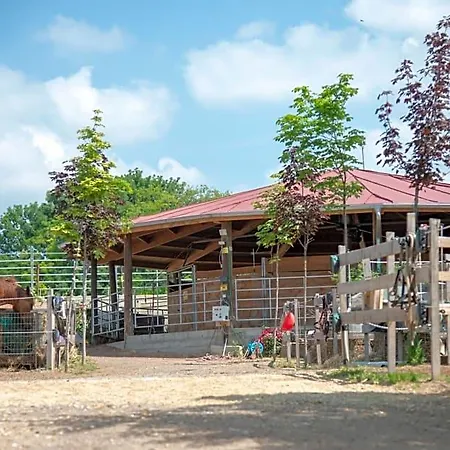 Ranchzimmer Am Hippo-campus Reit- Und Therapiezentrum 3* Deutsch Haslau