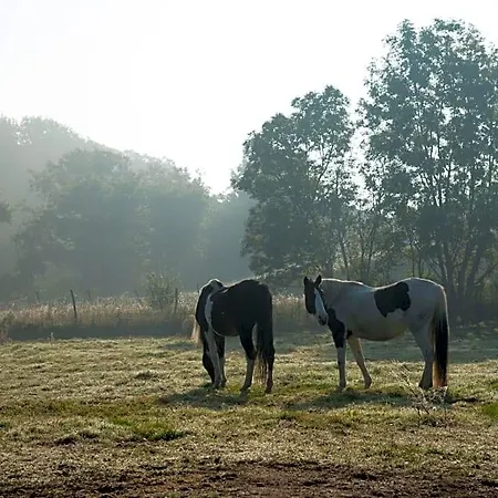Ranchzimmer Am Hippo-campus Reit- Und Therapiezentrum Alojamento de Acomodação e Pequeno-almoço