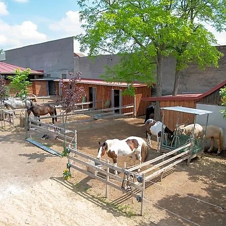 Ranchzimmer Am Hippo-campus Reit- Und Therapiezentrum Alojamento de Acomodação e Pequeno-almoço