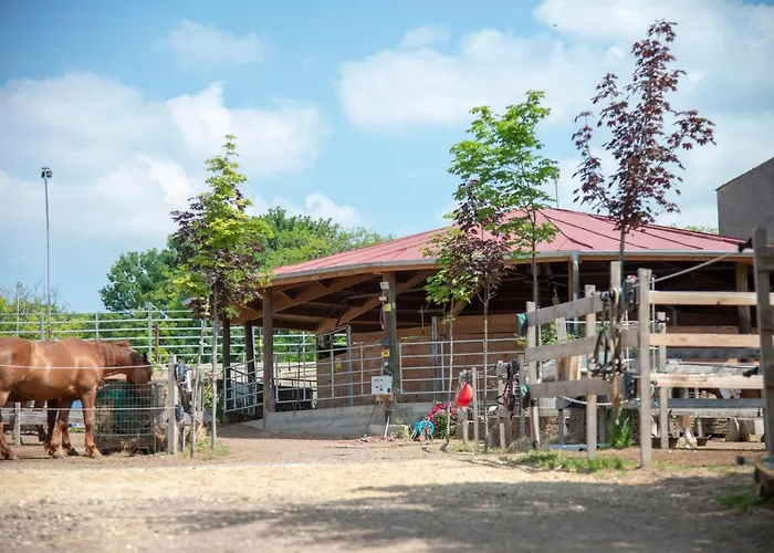 Ranchzimmer Am Hippo-campus Reit- Und Therapiezentrum Bed & Breakfast