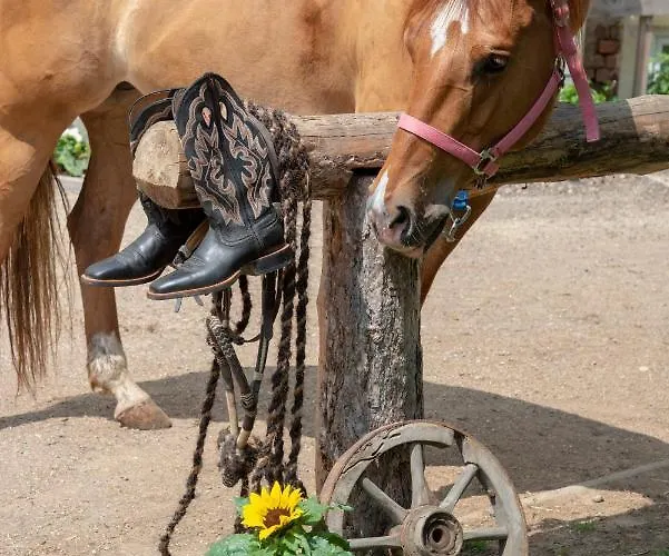 Ranchzimmer Am Hippo-campus Reit- Und Therapiezentrum 3*