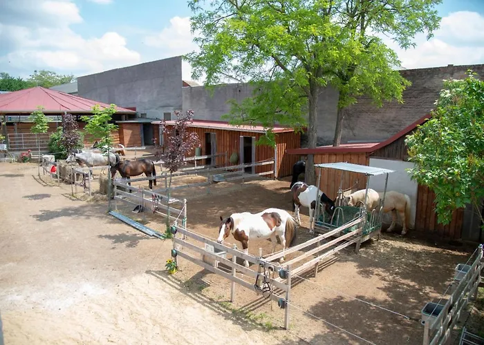 Bed & Breakfast Ranchzimmer Am Hippo-campus Reit- Und Therapiezentrum 3*