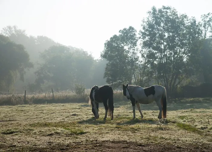 Bed & Breakfast Ranchzimmer Am Hippo-campus Reit- Und Therapiezentrum Deutsch Haslau