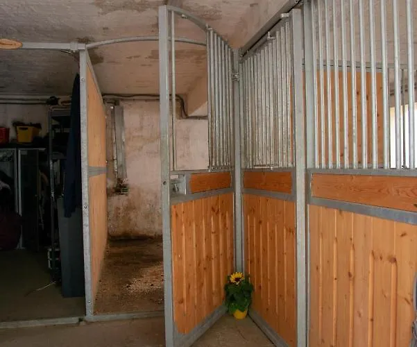 Ranchzimmer Am Hippo-campus Reit- Und Therapiezentrum 3* Deutsch Haslau