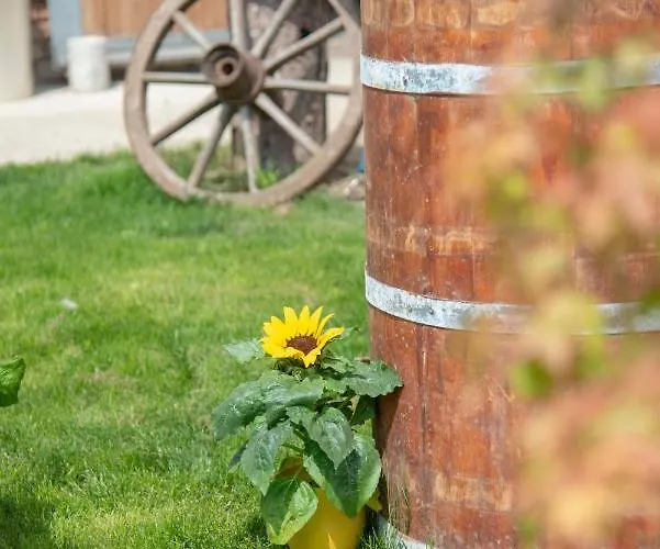 Ranchzimmer Am Hippo-campus Reit- Und Therapiezentrum Deutsch Haslau