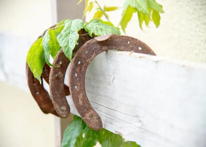 Bed & Breakfast Ranchzimmer Am Hippo-campus Reit- Und Therapiezentrum