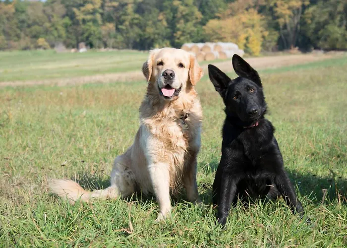 Ranchzimmer Am Hippo-campus Reit- Und Therapiezentrum 3*