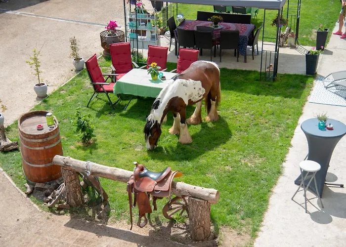 Ranchzimmer Am Hippo-campus Reit- Und Therapiezentrum Bed & Breakfast