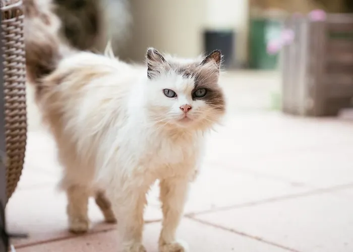 Ranchzimmer Am Hippo-campus Reit- Und Therapiezentrum Bed & Breakfast Deutsch Haslau