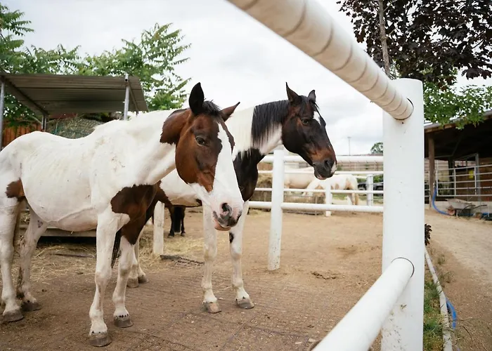 Ranchzimmer Am Hippo-campus Reit- Und Therapiezentrum 3*