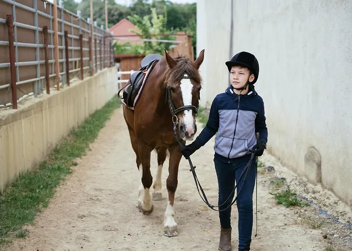 Ranchzimmer Am Hippo-campus Reit- Und Therapiezentrum Bed & Breakfast Deutsch Haslau