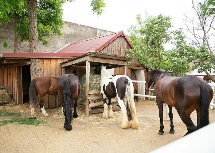 Ranchzimmer Am Hippo-campus Reit- Und Therapiezentrum